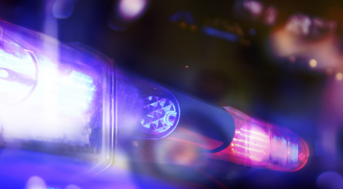 (Updated) 1 dead, 1 injured in shooting near Arkadelphia