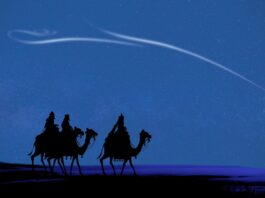 ‘Christmas Star’: Astronomical phenomenon to be visible for 1st time in 800 years Dec. 21