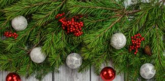 City, County holiday hours, sanitation schedules