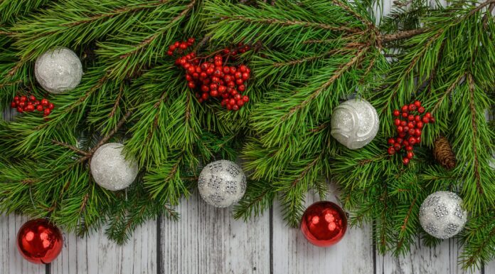 City, County holiday hours, sanitation schedules