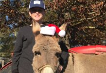 4D Farm kicks off ‘Country Christmas’ this Saturday