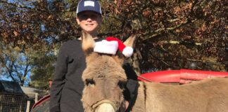 4D Farm kicks off ‘Country Christmas’ this Saturday