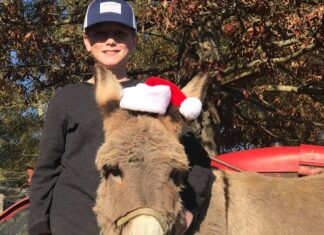 4D Farm kicks off ‘Country Christmas’ this Saturday