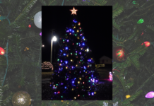 ‘Come and enjoy a bit of Christmas spirit’