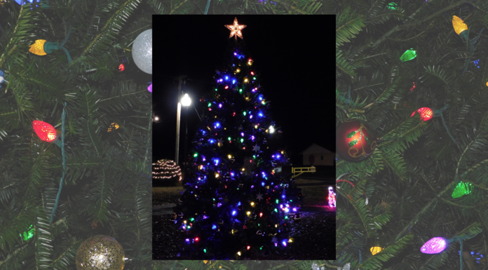 ‘Come and enjoy a bit of Christmas spirit’