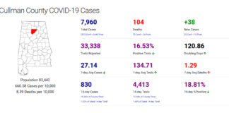 Cullman County COVID-19 update: Jan. 15