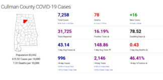 Cullman County COVID-19 update: Jan. 3
