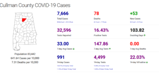 Cullman County COVID-19 update: Jan. 9