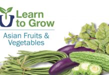 Learn to grow Asian fruits & vegetables