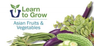 Learn to grow Asian fruits & vegetables