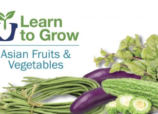 Learn to grow Asian fruits & vegetables