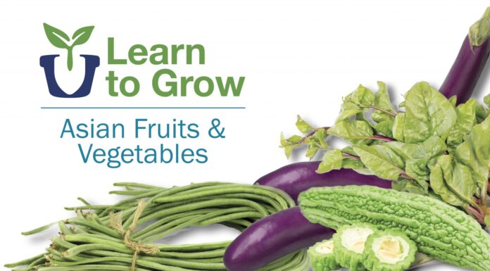 Learn to grow Asian fruits & vegetables