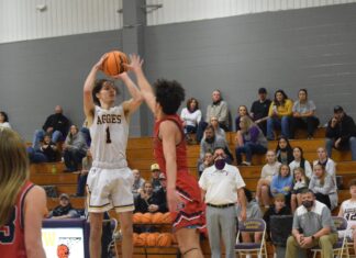 PREP BASKETBALL: Fairview splits home area matchups with Brewer