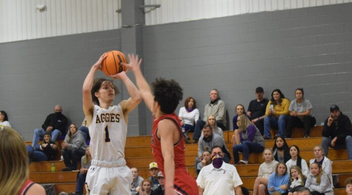 PREP BASKETBALL: Fairview splits home area matchups with Brewer