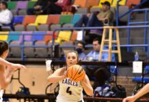 CULLMAN COUNTY TOURNAMENT: Cold Springs pulls away from Vinemont 60-35