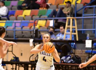 CULLMAN COUNTY TOURNAMENT: Cold Springs pulls away from Vinemont 60-35