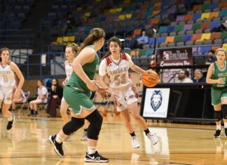 CULLMAN COUNTY TOURNAMENT: Lady Raiders race past Holly Pond 71-36
