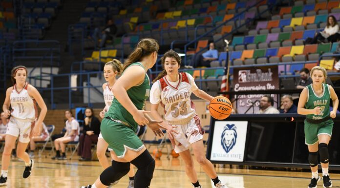 CULLMAN COUNTY TOURNAMENT: Lady Raiders race past Holly Pond 71-36