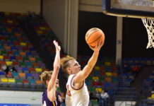 CULLMAN COUNTY TOURNAMENT: Raiders outlast Fairview 64-54