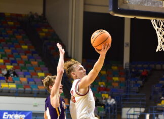 CULLMAN COUNTY TOURNAMENT: Raiders outlast Fairview 64-54