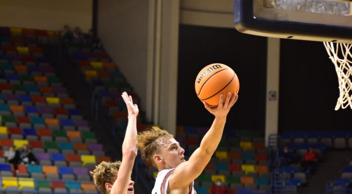 CULLMAN COUNTY TOURNAMENT: Raiders outlast Fairview 64-54