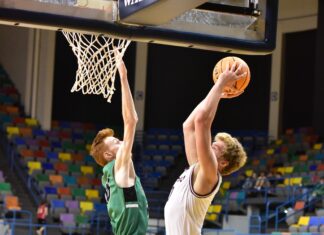 CULLMAN COUNTY TOURNAMENT: West Point handles Holly Pond 73-55