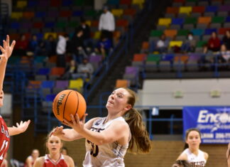 CULLMAN COUNTY TOURNAMENT: Lady Aggies down Good Hope 54-38