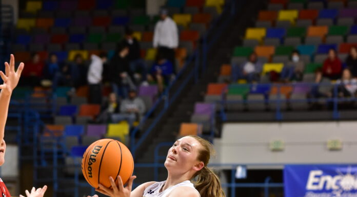 CULLMAN COUNTY TOURNAMENT: Lady Aggies down Good Hope 54-38