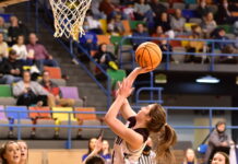 CULLMAN COUNTY TOURNAMENT: Lady Warriors outpace Cold Springs 64-53