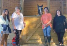 Wallace State OTA program, Hope Horses form mutually beneficial partnership