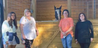 Wallace State OTA program, Hope Horses form mutually beneficial partnership