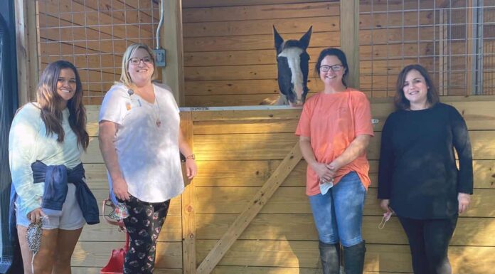 Wallace State OTA program, Hope Horses form mutually beneficial partnership