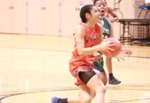 Wallace State basketball teams sweep Enterprise State in home openers, host CVCC Tuesday