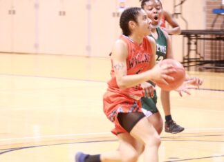 Wallace State basketball teams sweep Enterprise State in home openers, host CVCC Tuesday