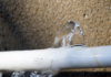 Protect your home from freezing and broken pipes this winter