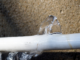 Protect your home from freezing and broken pipes this winter