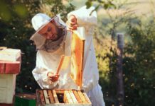 26th annual Alabama Beekeeping Symposium Feb. 6-7