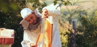 26th annual Alabama Beekeeping Symposium Feb. 6-7