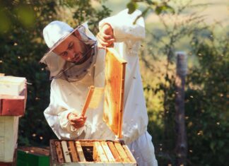 26th annual Alabama Beekeeping Symposium Feb. 6-7