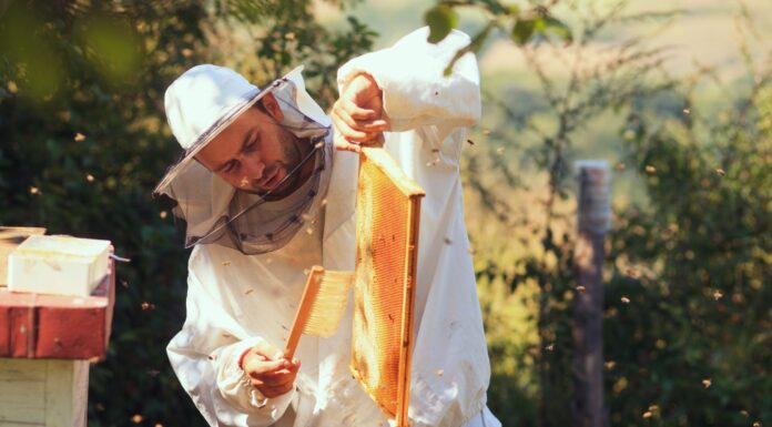 26th annual Alabama Beekeeping Symposium Feb. 6-7