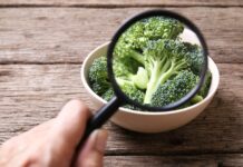 Exposing popular food safety myths