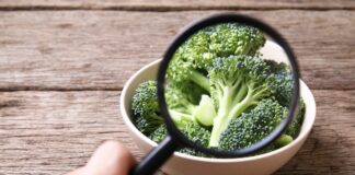 Exposing popular food safety myths