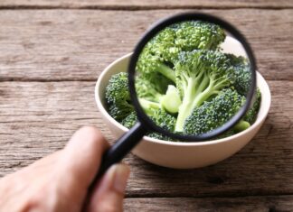 Exposing popular food safety myths