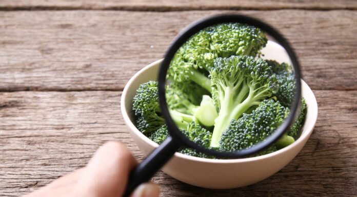 Exposing popular food safety myths