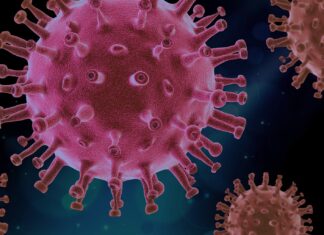 CORONAVIRUS-19 (COVID-19) FLASH