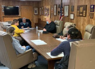 Fairview council talks spring sports signups, debris removal proposal