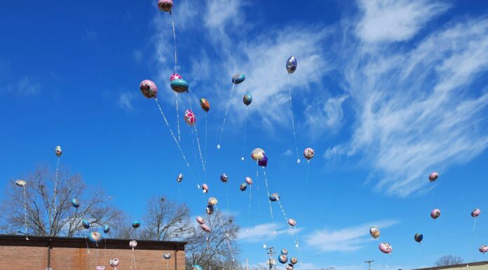 Up, up and away…and back!