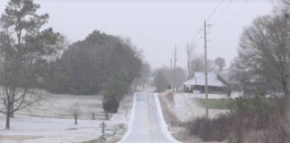 ALDOT warns motorists against nonessential travel through Friday