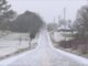 ALDOT warns motorists against nonessential travel through Friday