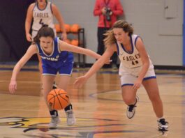 PREP BASKETBALL: Cold Springs edges Falkville 63-53 in OT to claim 2A, Area 13 crown